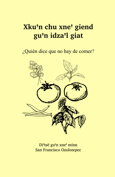 Comida 2