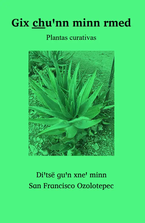 Gix c̲h̲uꞌnn minn rmed